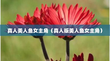 真人美人鱼女主角（真人版美人鱼女主角）