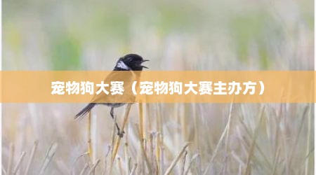 宠物狗大赛（宠物狗大赛主办方）