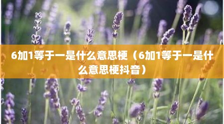 6加1等于一是什么意思梗（6加1等于一是什么意思梗抖音）