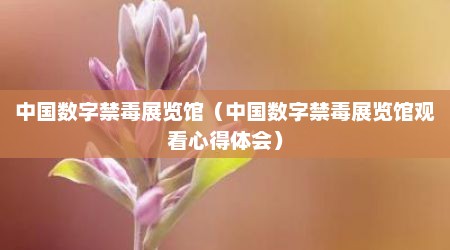 中国数字禁毒展览馆（中国数字禁毒展览馆观看心得体会）