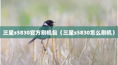三星s5830官方刷机包（三星s5830怎么刷机）
