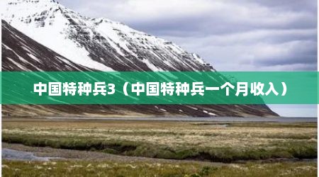 中国特种兵3（中国特种兵一个月收入）