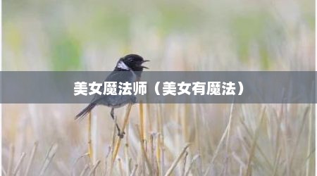 美女魔法师（美女有魔法）