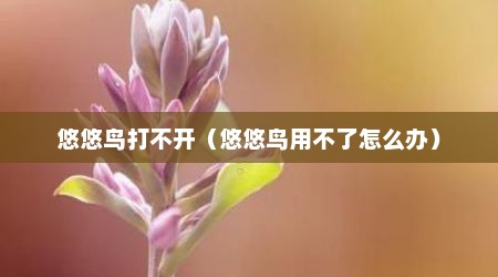 悠悠鸟打不开（悠悠鸟用不了怎么办）