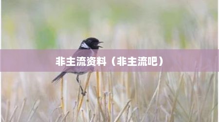 非主流资料（非主流吧）