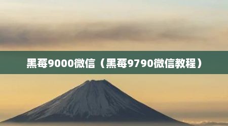 黑莓9000微信（黑莓9790微信教程）
