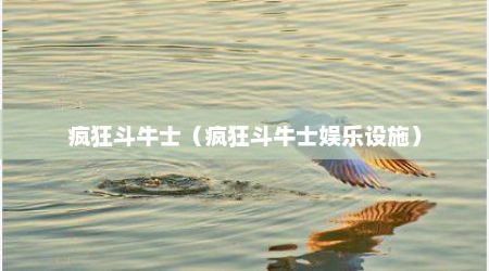 疯狂斗牛士（疯狂斗牛士娱乐设施）