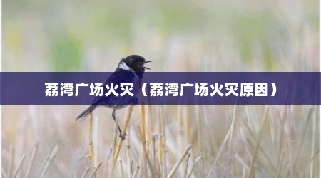 荔湾广场火灾（荔湾广场火灾原因）