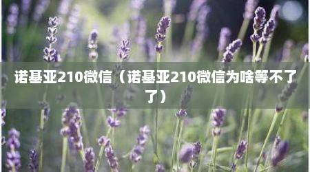 诺基亚210微信（诺基亚210微信为啥等不了了）