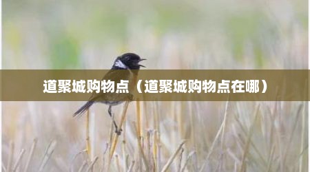道聚城购物点（道聚城购物点在哪）
