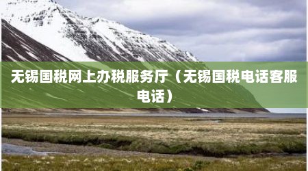 无锡国税网上办税服务厅（无锡国税电话客服电话）