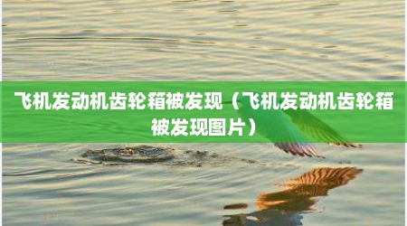 飞机发动机齿轮箱被发现（飞机发动机齿轮箱被发现图片）