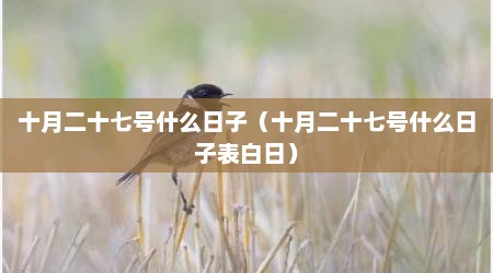 十月二十七号什么日子（十月二十七号什么日子表白日）