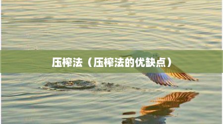 压榨法（压榨法的优缺点）