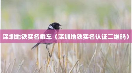 深圳地铁实名乘车（深圳地铁实名认证二维码）