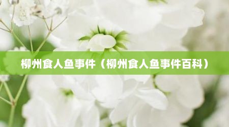 柳州食人鱼事件（柳州食人鱼事件百科）