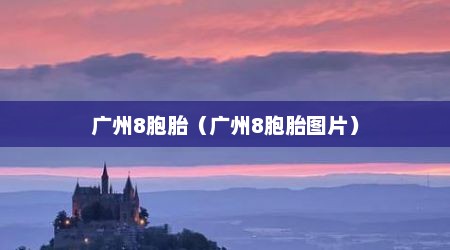 广州8胞胎（广州8胞胎图片）