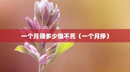 一个月赚多少饿不死（一个月挣）