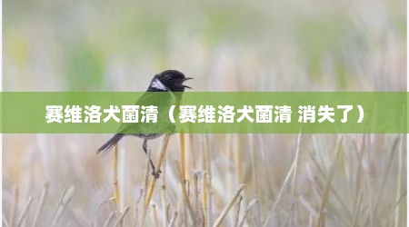 赛维洛犬菌清（赛维洛犬菌清 消失了）