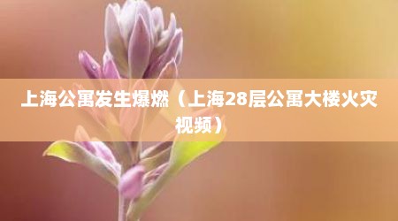 上海公寓发生爆燃（上海28层公寓大楼火灾视频）