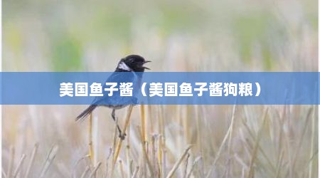 美国鱼子酱（美国鱼子酱狗粮）
