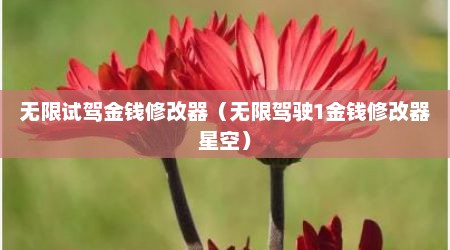 无限试驾金钱修改器（无限驾驶1金钱修改器星空）