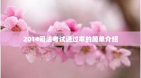 2014司法考试通过率的简单介绍