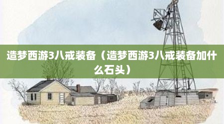造梦西游3八戒装备（造梦西游3八戒装备加什么石头）