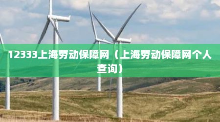 12333上海劳动保障网（上海劳动保障网个人查询）