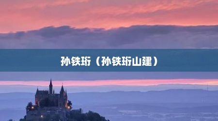 孙铁珩（孙铁珩山建）