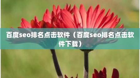 百度seo排名点击软件（百度seo排名点击软件下载）