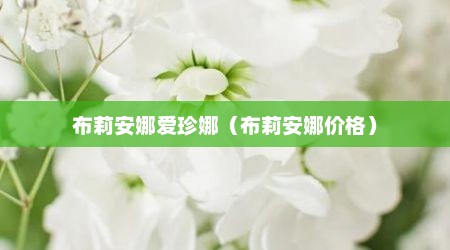布莉安娜爱珍娜（布莉安娜价格）
