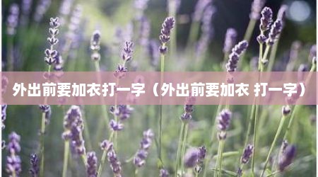 外出前要加衣打一字（外出前要加衣 打一字）
