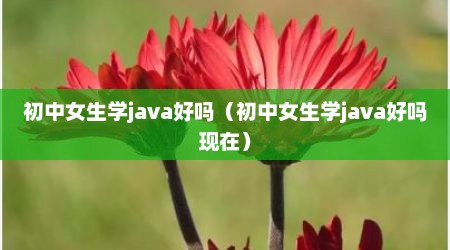 初中女生学java好吗（初中女生学java好吗现在）