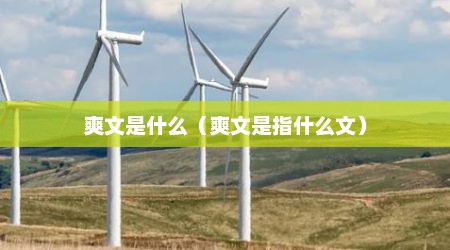 爽文是什么（爽文是指什么文）