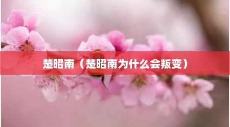 楚昭南（楚昭南为什么会叛变）