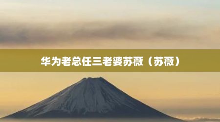华为老总任三老婆苏薇（苏薇）