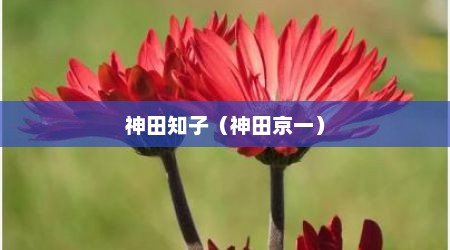 神田知子（神田京一）