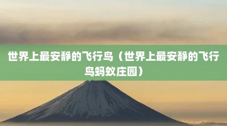 世界上最安静的飞行鸟（世界上最安静的飞行鸟蚂蚁庄园）