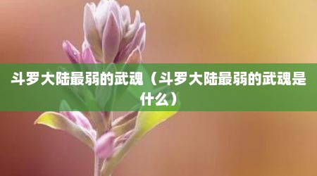 斗罗大陆最弱的武魂（斗罗大陆最弱的武魂是什么）