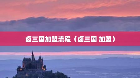 卤三国加盟流程（卤三国 加盟）