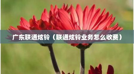 广东联通炫铃（联通炫铃业务怎么收费）