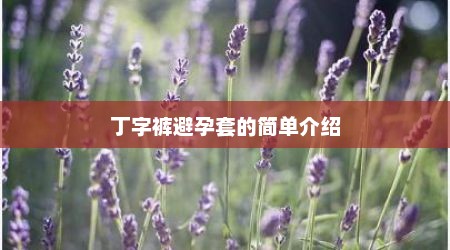 丁字裤避孕套的简单介绍