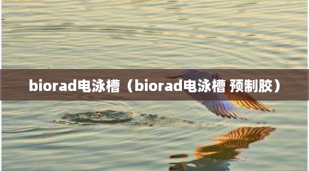 biorad电泳槽（biorad电泳槽 预制胶）