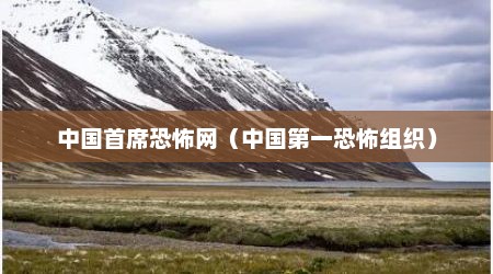 中国首席恐怖网（中国第一恐怖组织）
