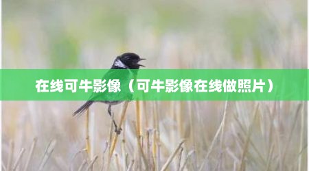 在线可牛影像（可牛影像在线做照片）