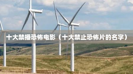 十大禁播恐怖电影（十大禁止恐怖片的名字）