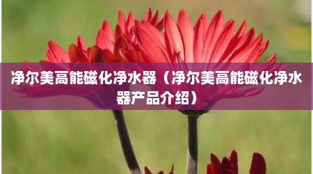 净尔美高能磁化净水器（净尔美高能磁化净水器产品介绍）