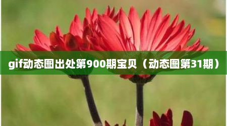 gif动态图出处第900期宝贝（动态图第31期）