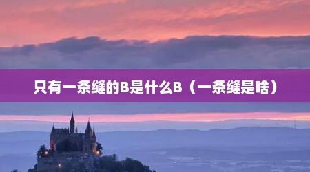 只有一条缝的B是什么B（一条缝是啥）